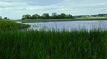 Emilie Ruecker Wildlife Refuge